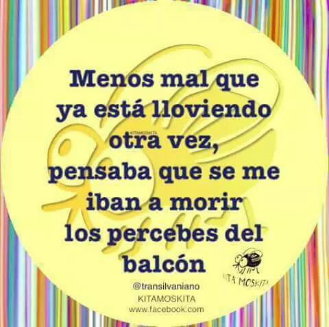 IMG-20180412-WA0032.webp