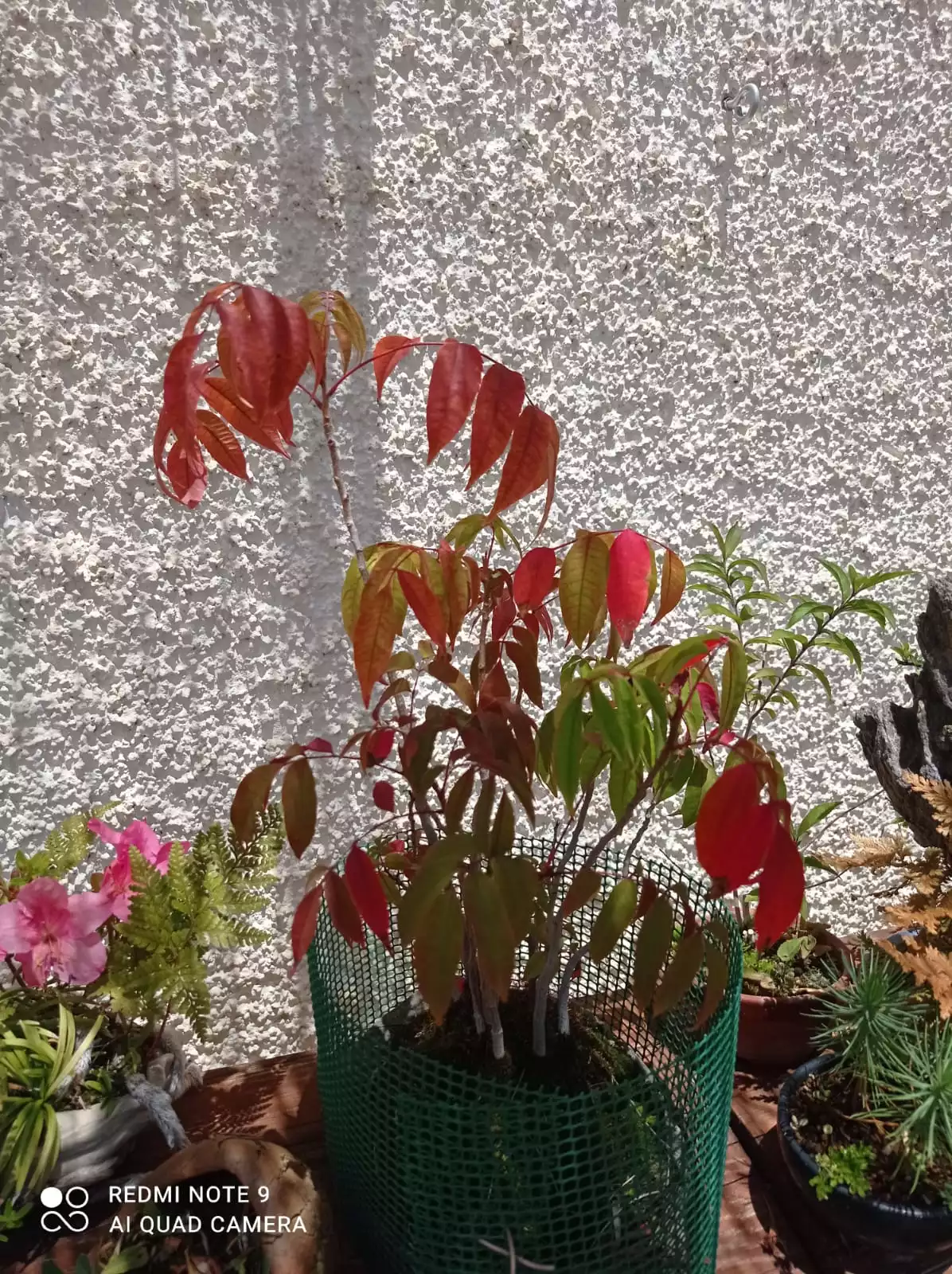 IMG-20210609-WA0019.webp
