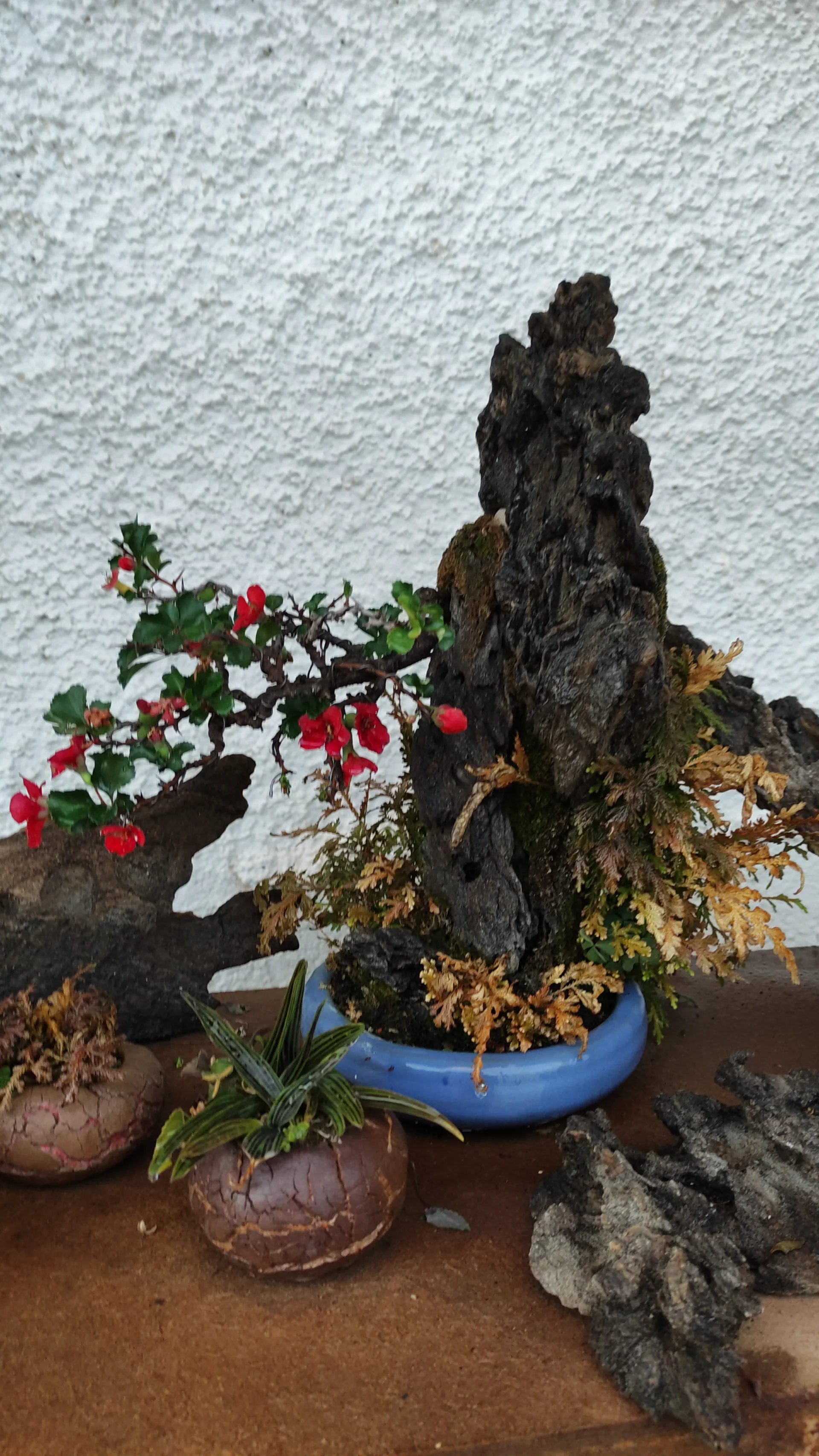 IMG-20211019-WA0026.webp