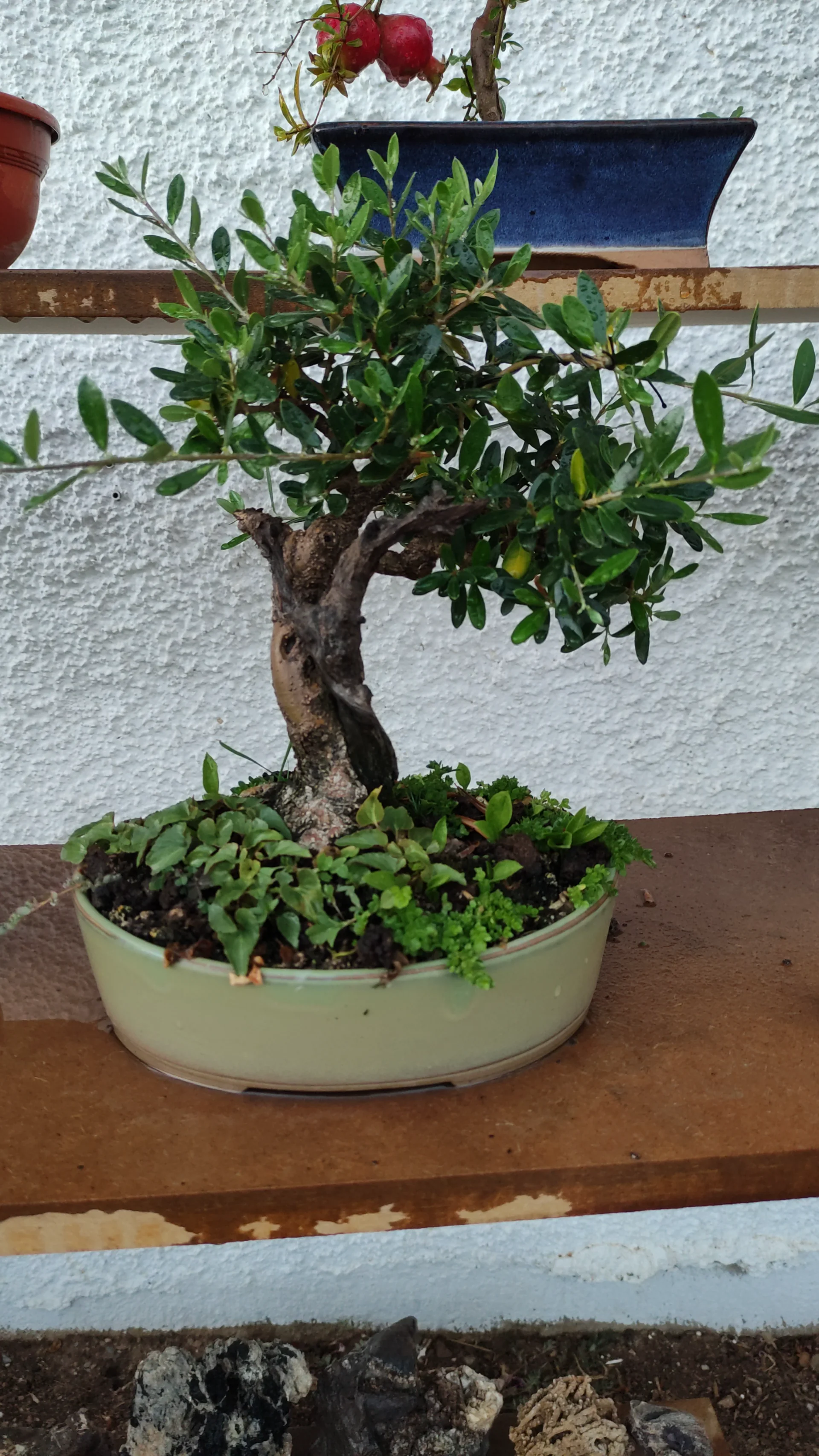 IMG-20211019-WA0038.webp