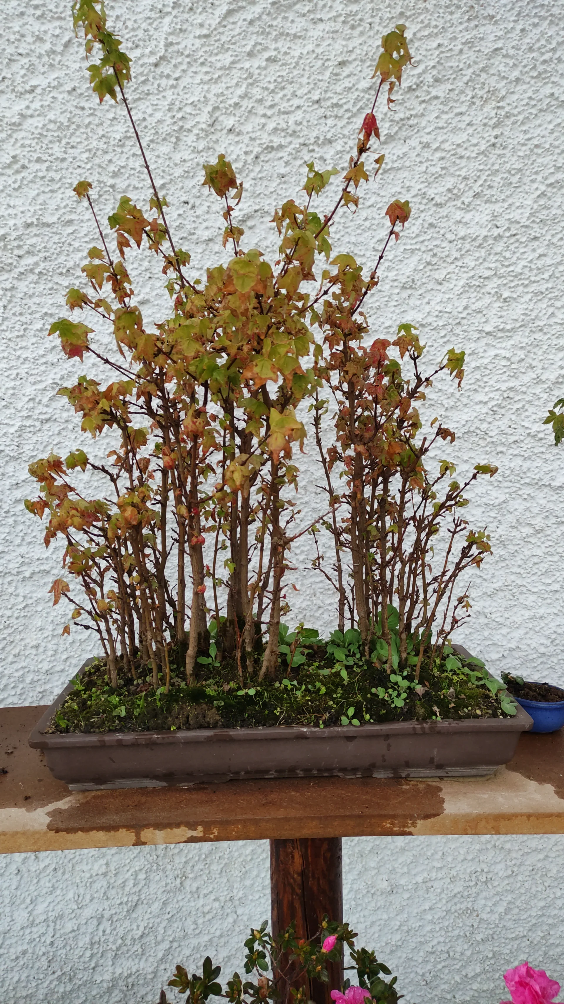 IMG-20211019-WA0043.webp