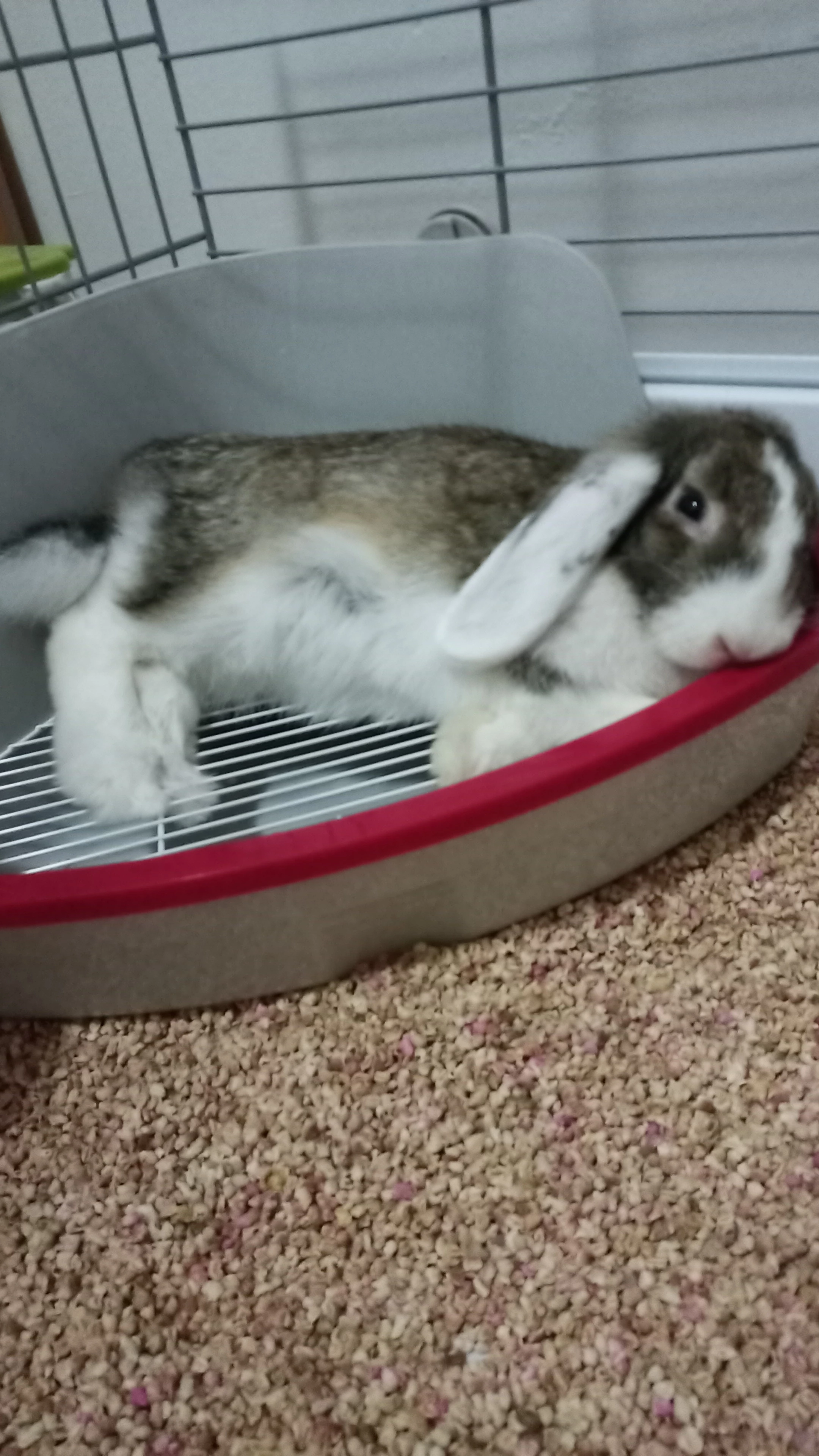 IMG-20221227-WA0013.webp