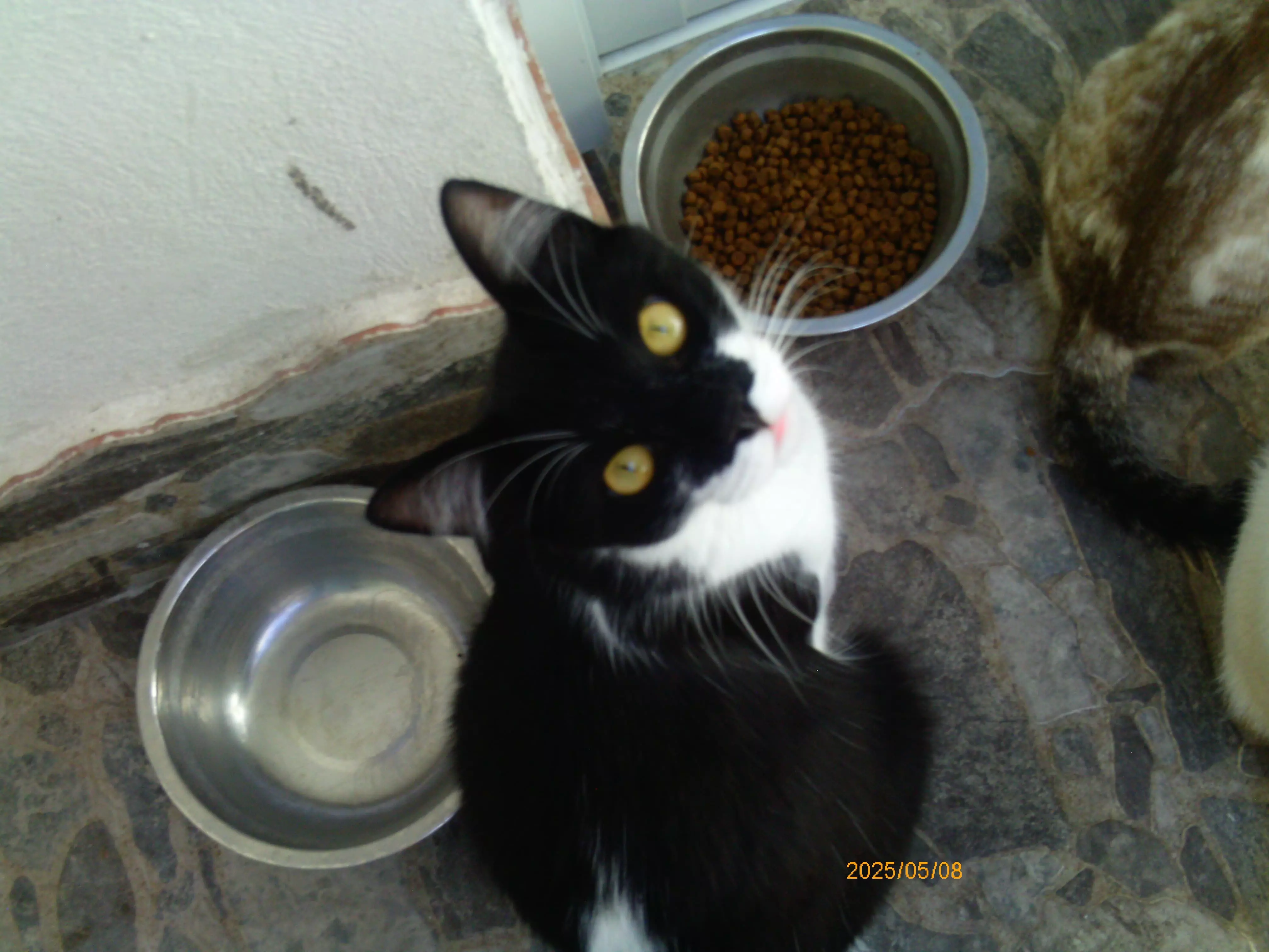 IMG-20250509-WA0118.webp