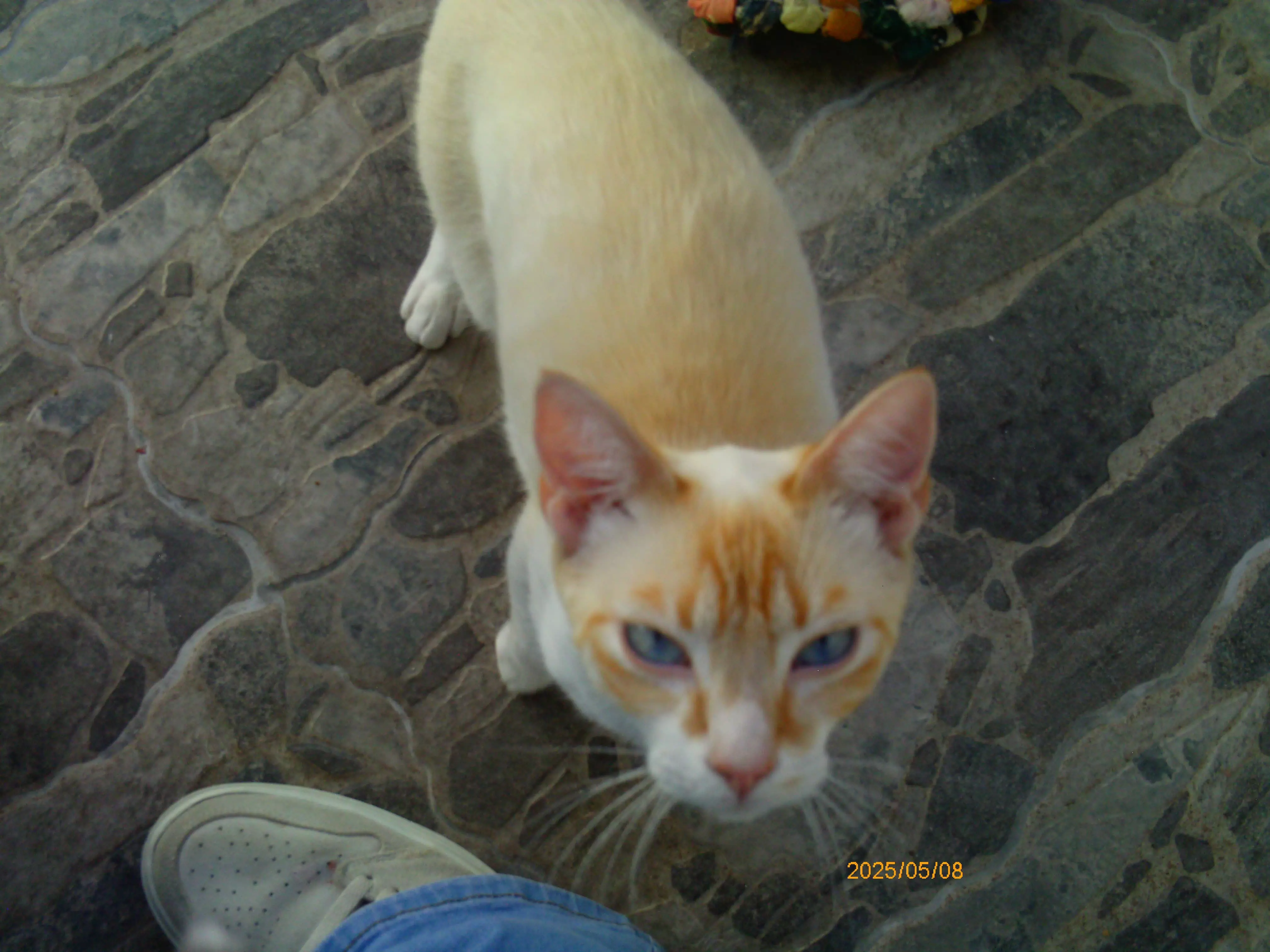 IMG-20250509-WA0122.webp