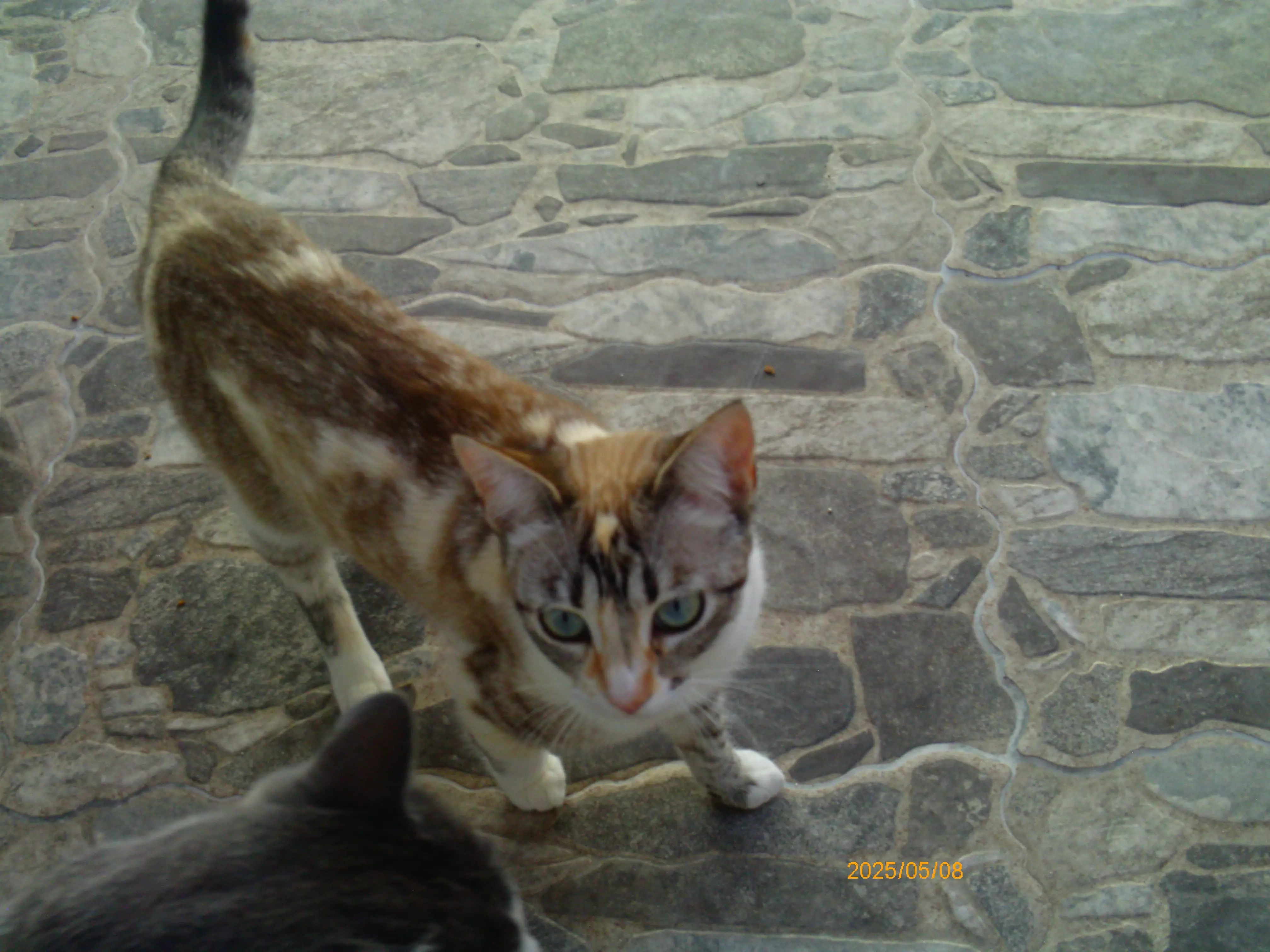 IMG-20250509-WA0123.webp