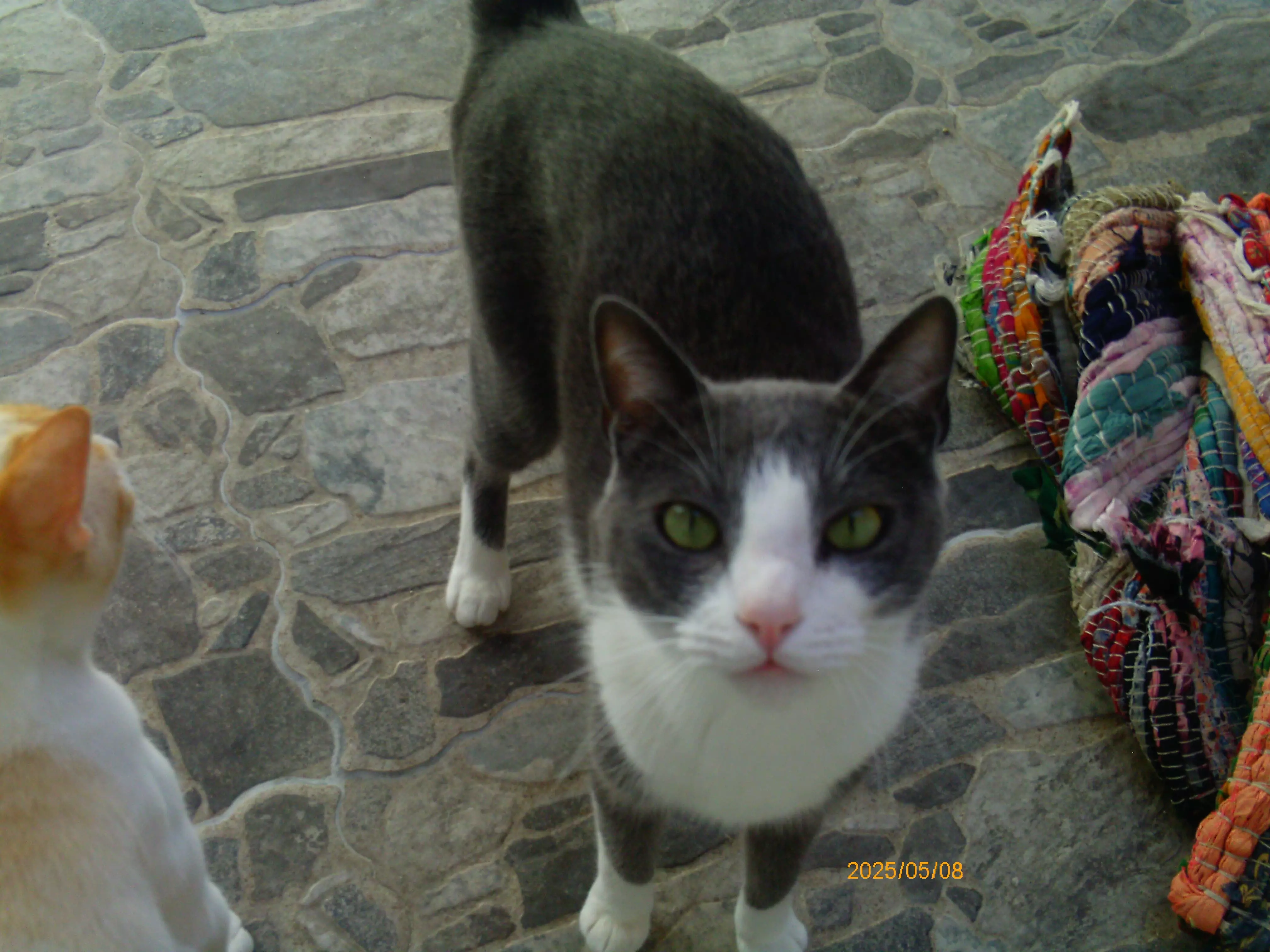 IMG-20250509-WA0124.webp
