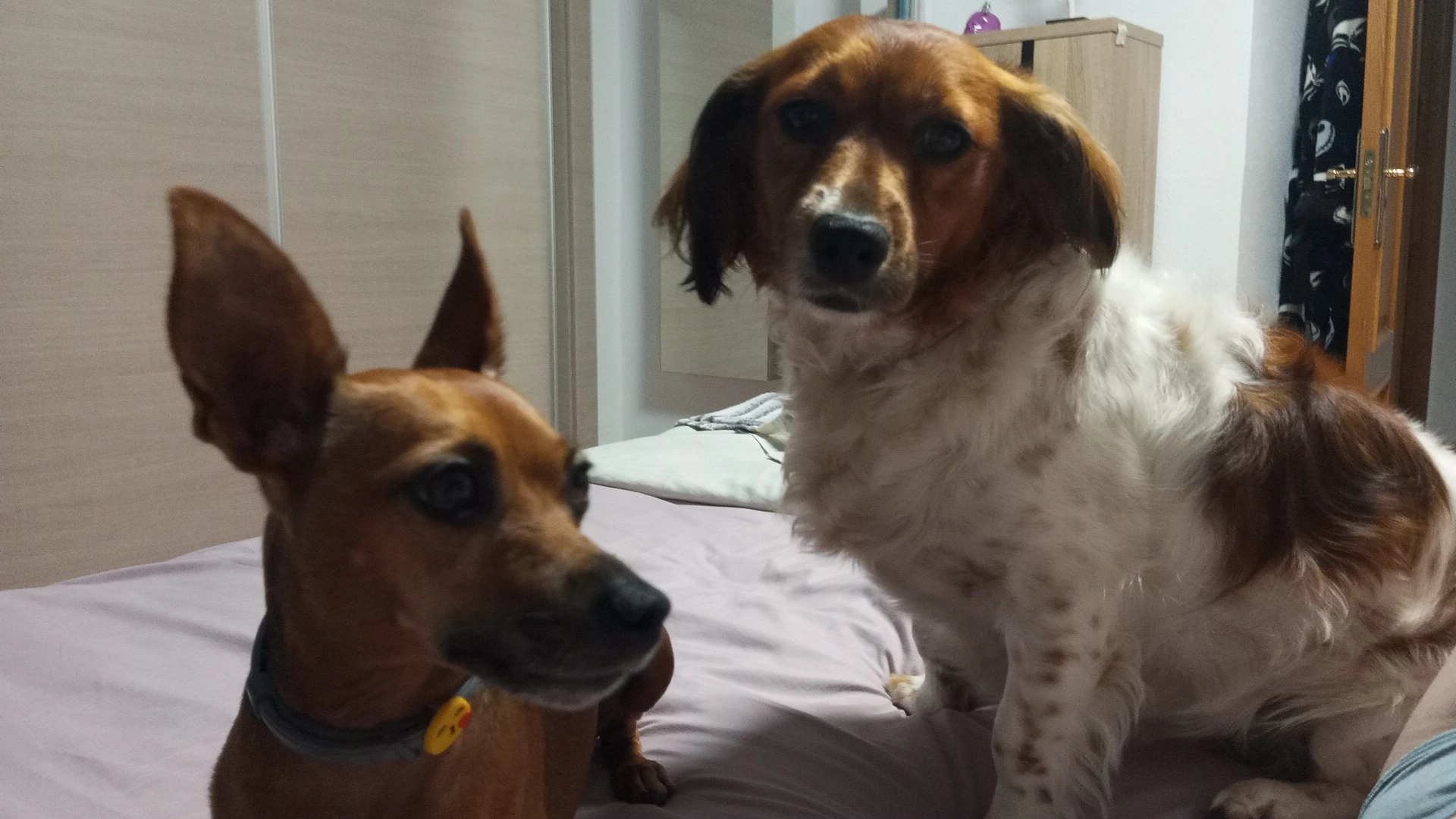 IMG-20250713-WA0003.webp