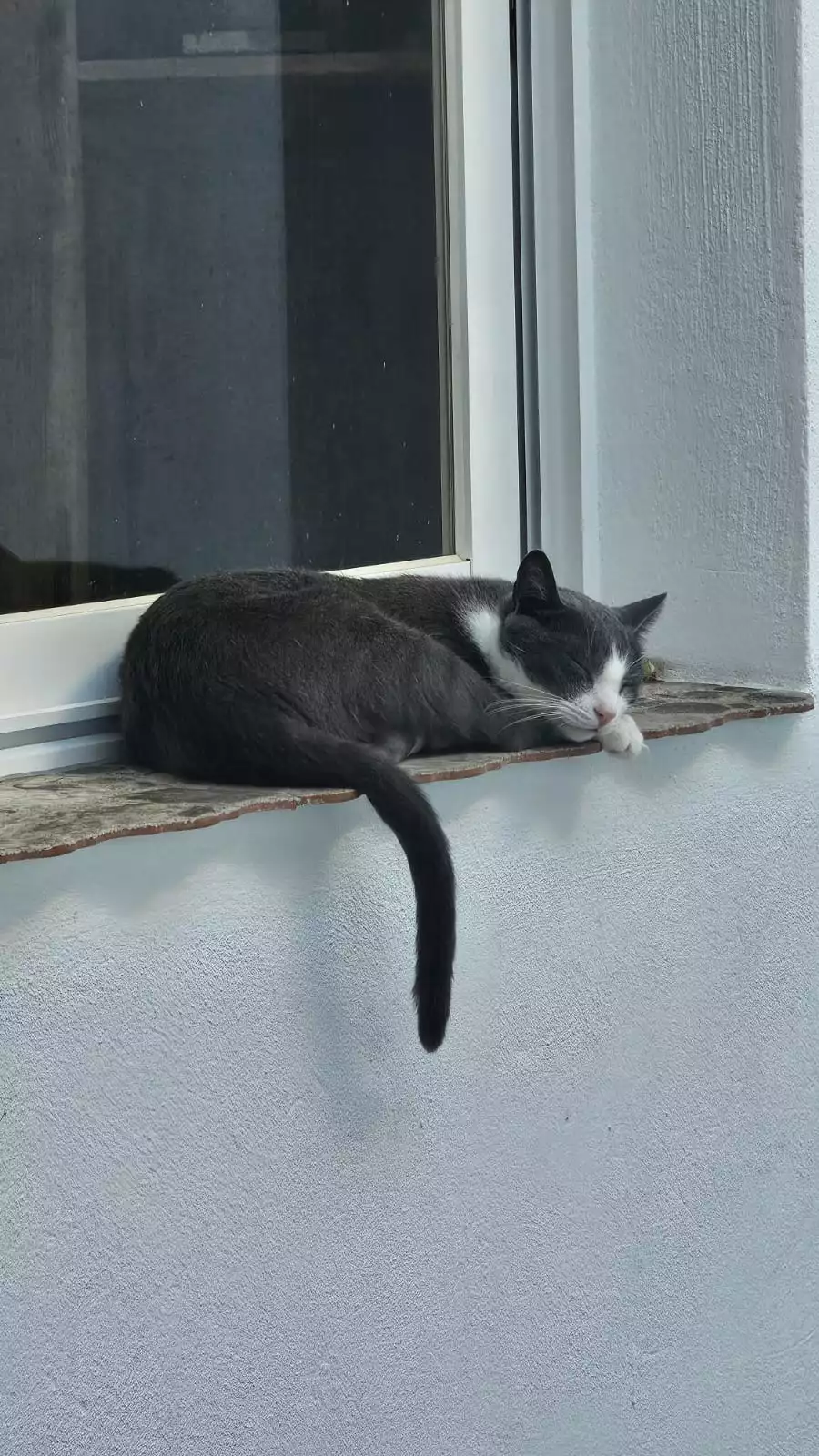 IMG-20250811-WA0005.webp