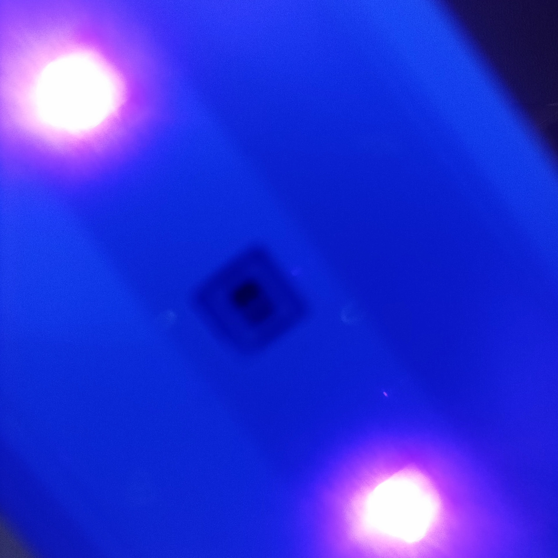 IMG20250405141612_00.jpg