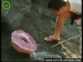IMG_0077.gif