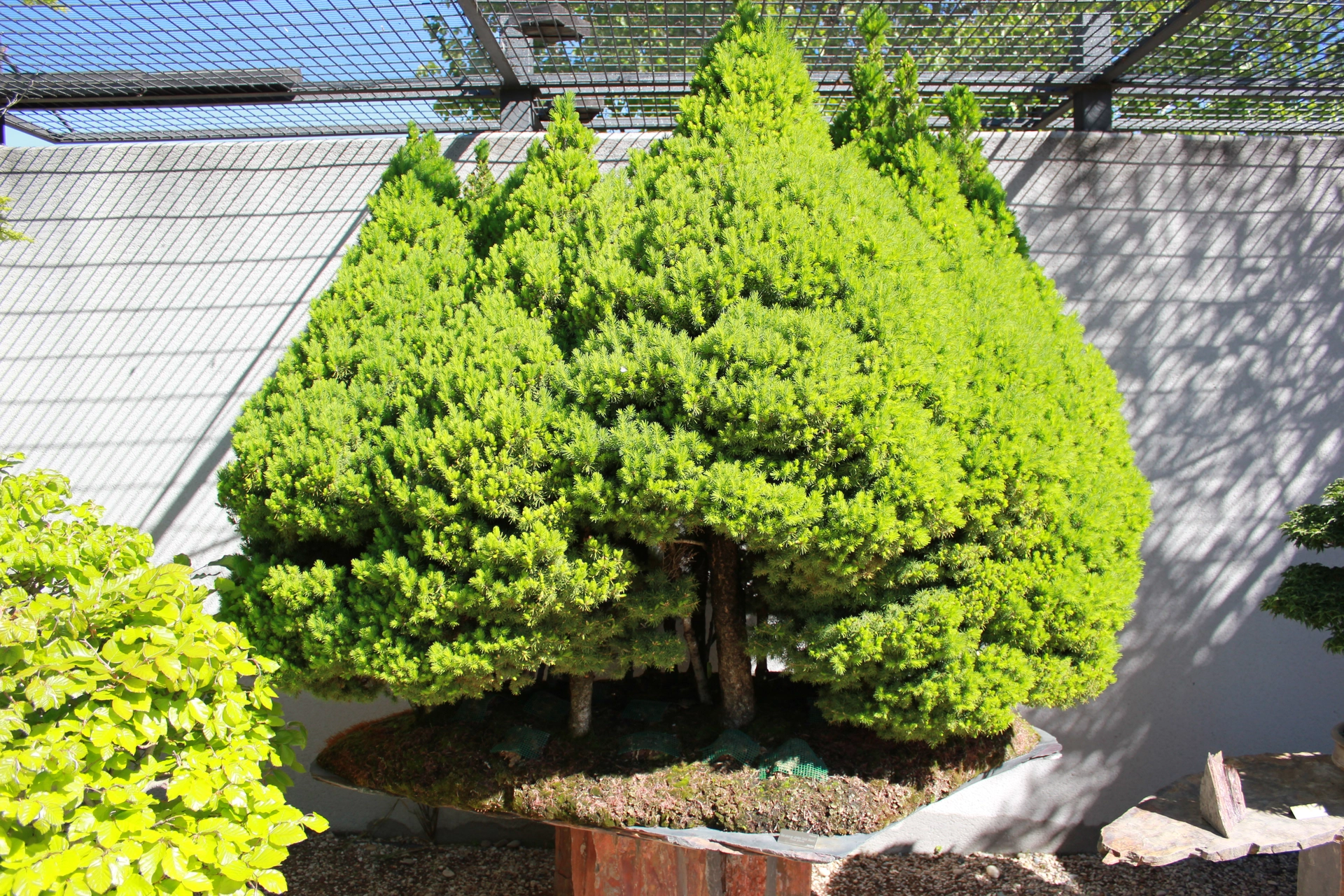 IMG_0362.webp