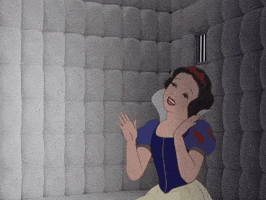 IMG_0438-1.gif