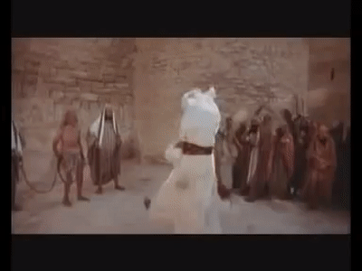 IMG_0633.gif