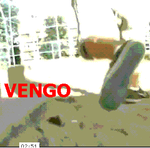 IMG_0663.gif
