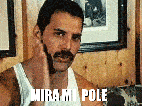 IMG_0959.gif