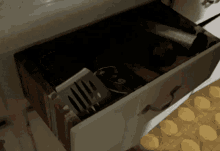 IMG_1065.gif
