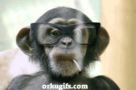 IMG_1088.gif