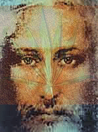 IMG_1168.gif