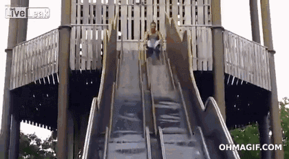 IMG_1389.gif
