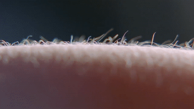 IMG_1401.gif