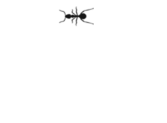 IMG_1470.gif