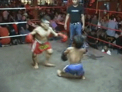IMG_1544.gif