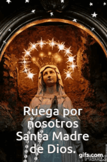 IMG_1617.gif