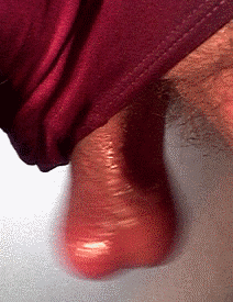 IMG_1737.gif