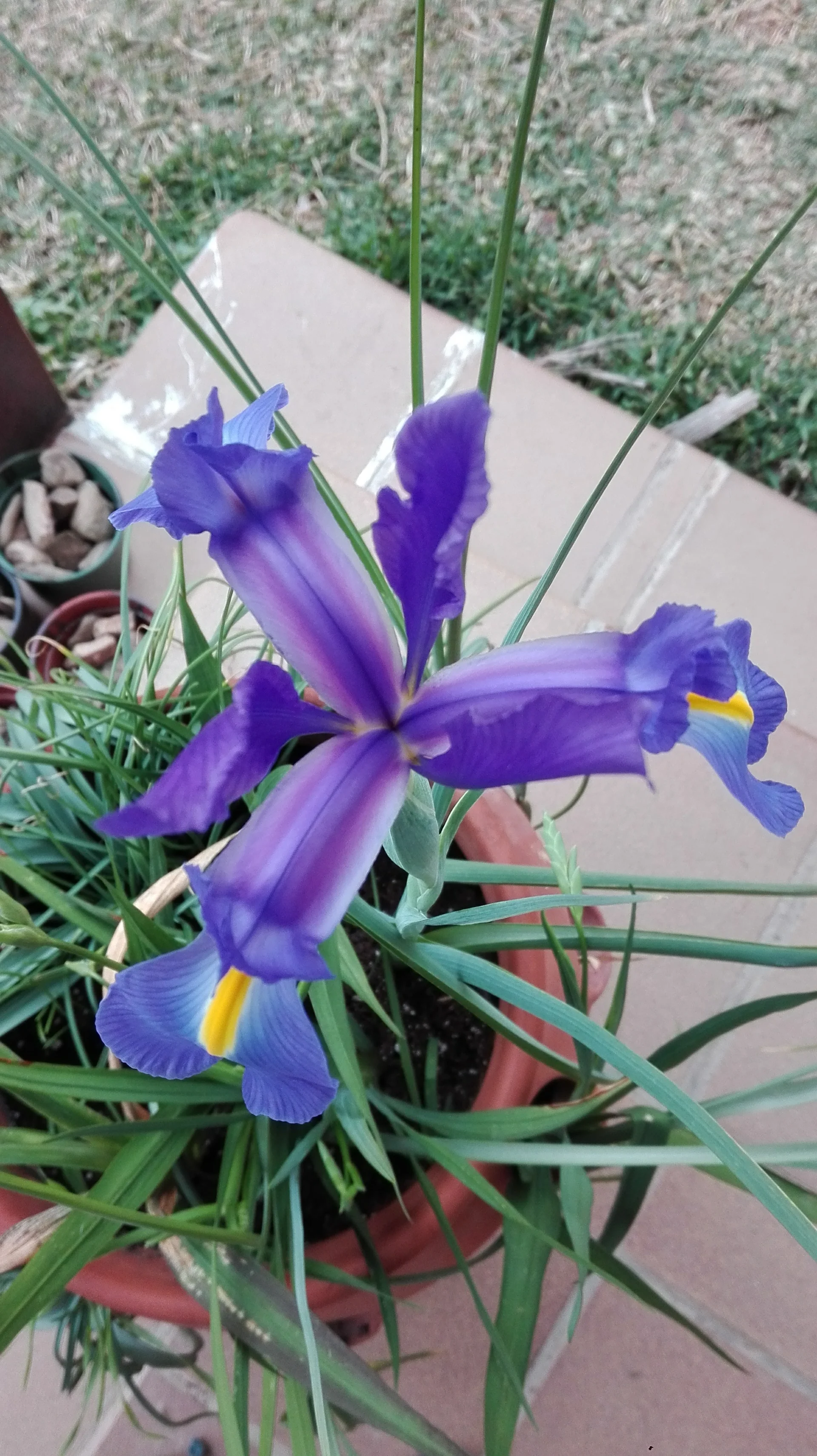 IMG_20170203_180119.webp