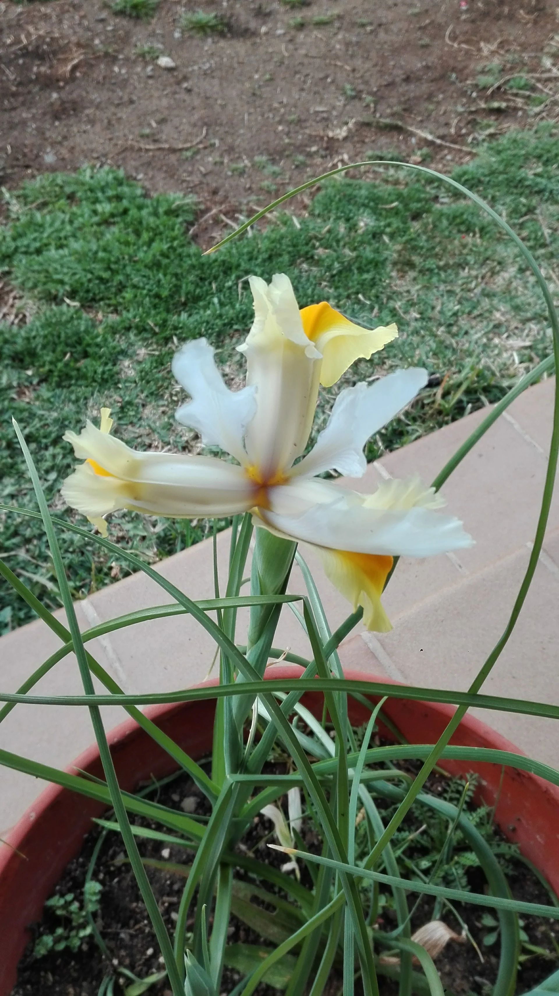 IMG_20170222_091514.webp