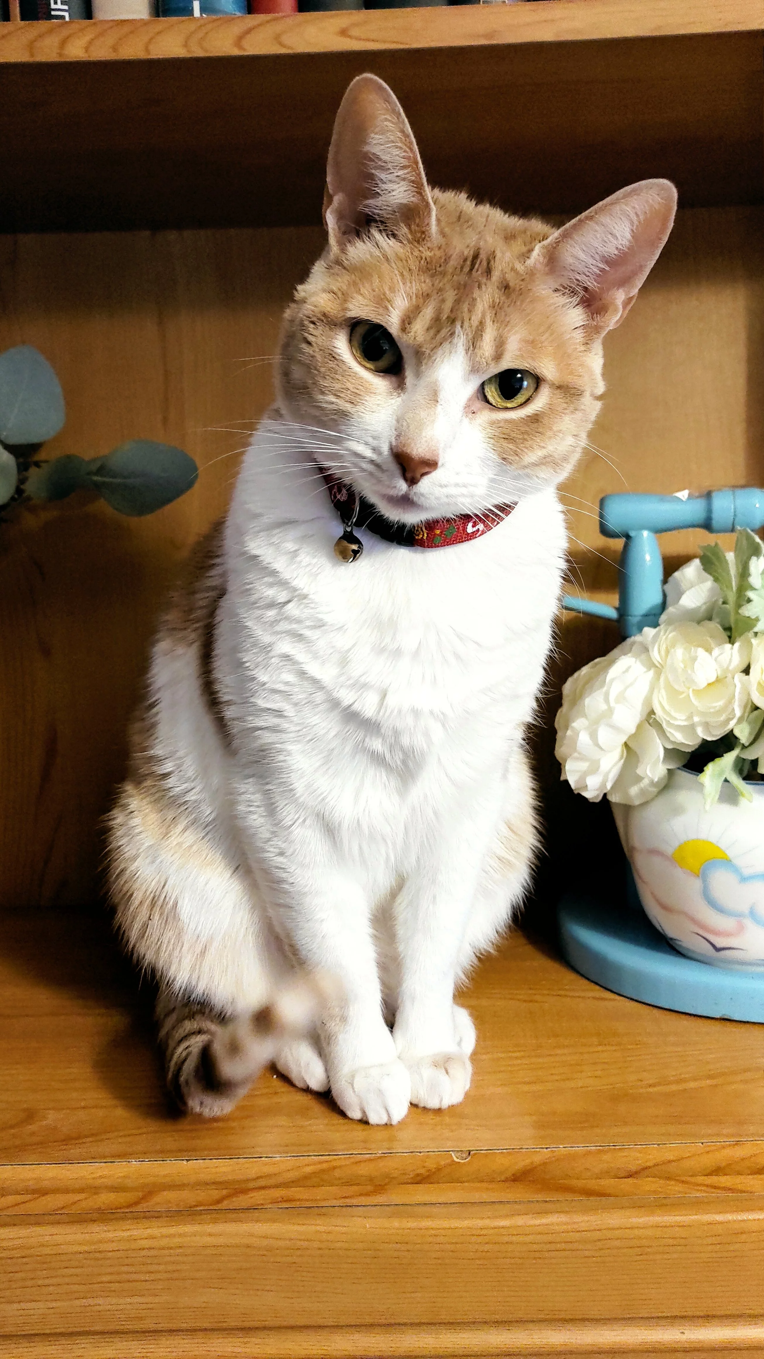 IMG_20220413_193508.webp