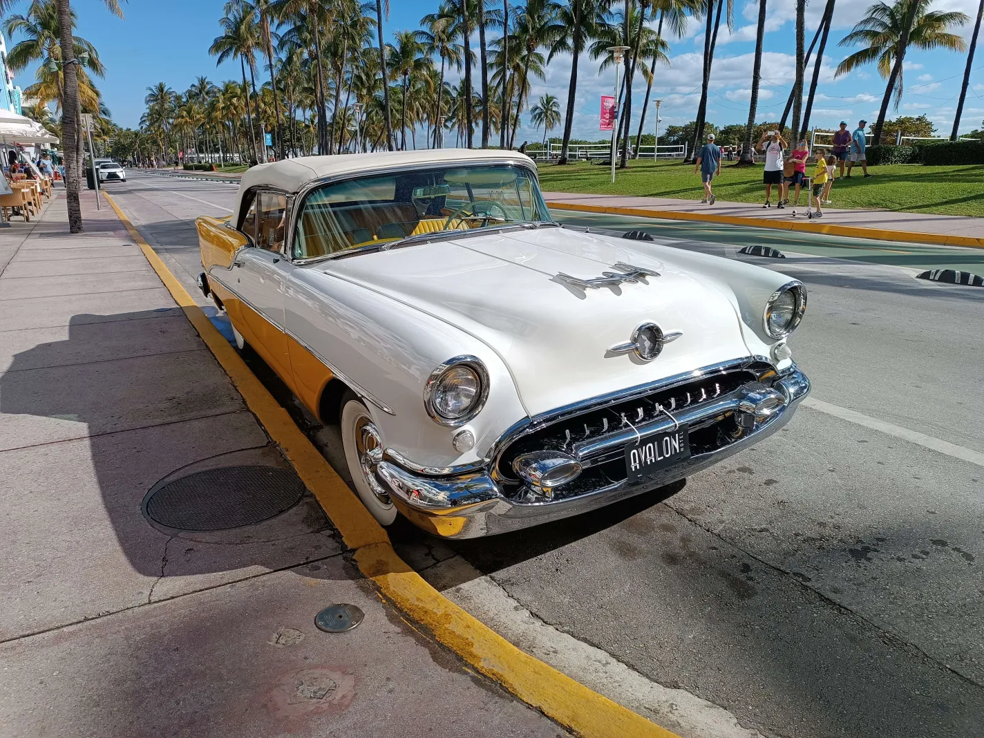 IMG_20230214_095223.webp
