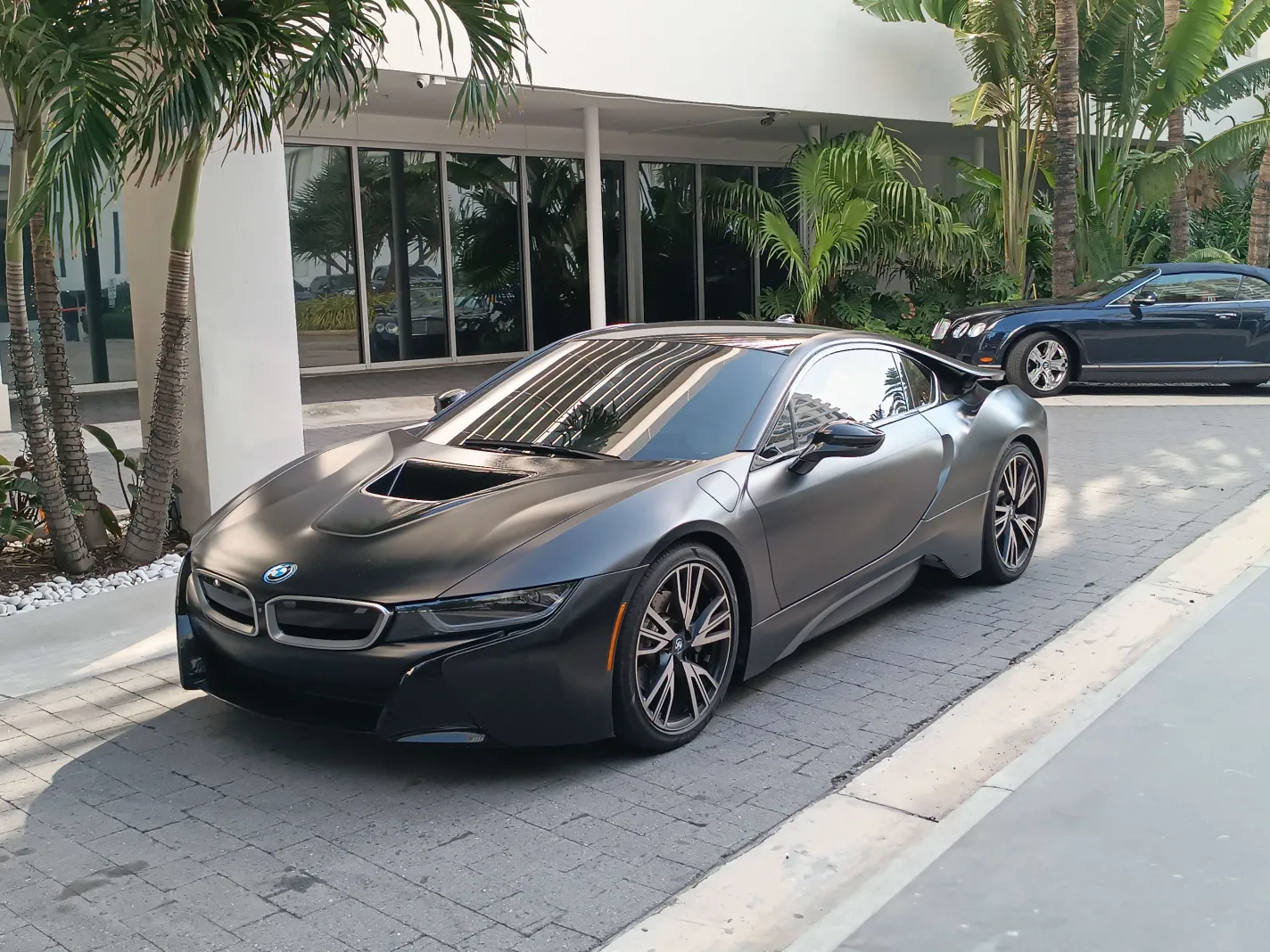 IMG_20230219_094904.webp