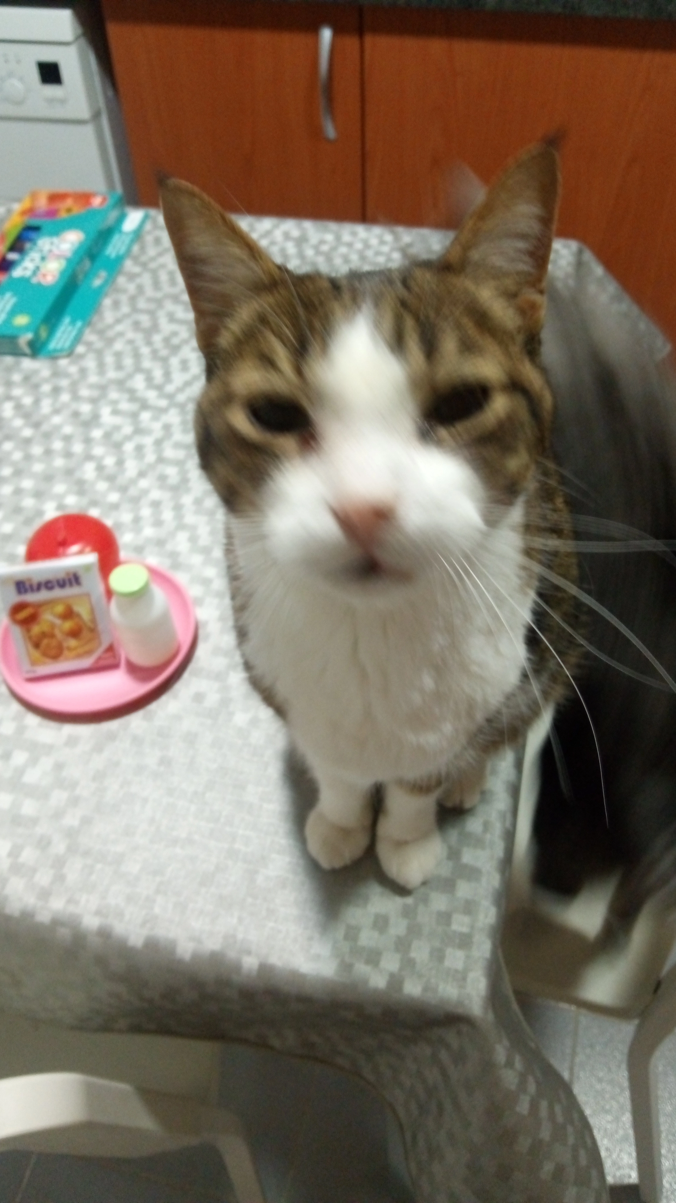 IMG_20240302_082204.webp