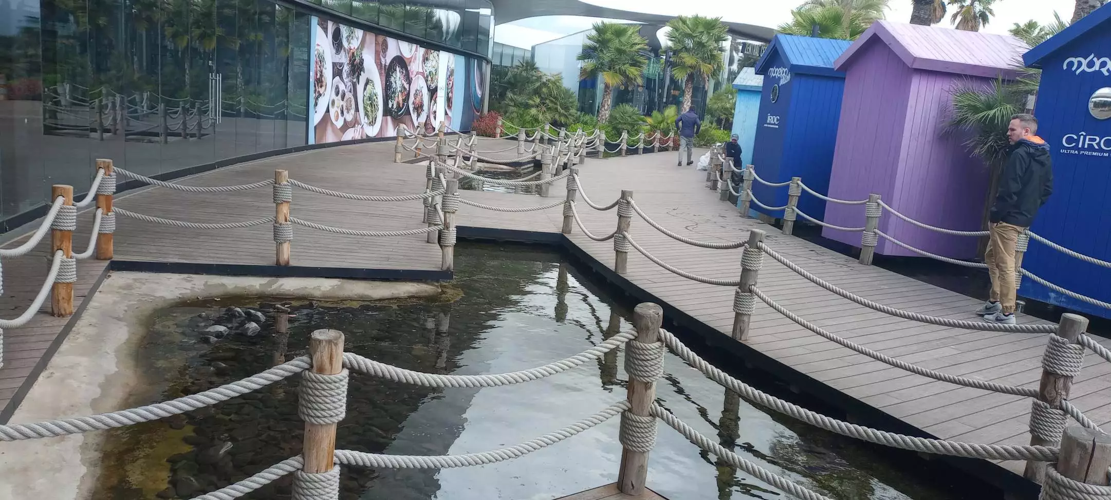 IMG_20240328_122945108.webp