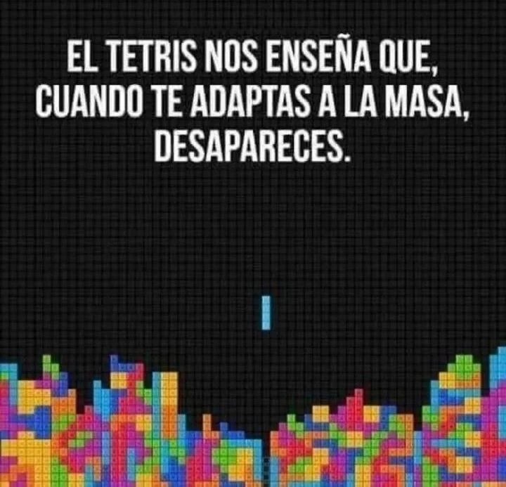 IMG_20240625_175254_569.webp