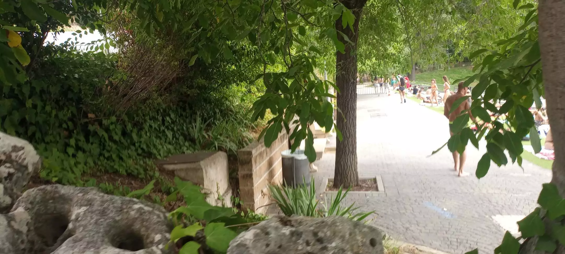 IMG_20240718_171314985.webp