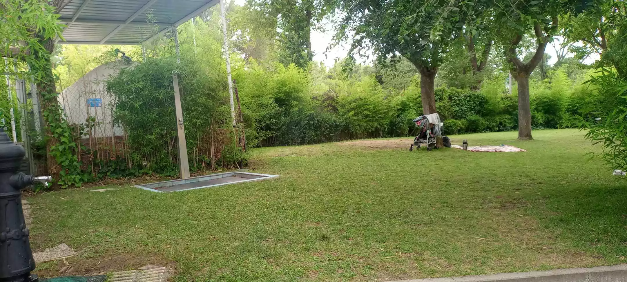 IMG_20240718_171520744.webp