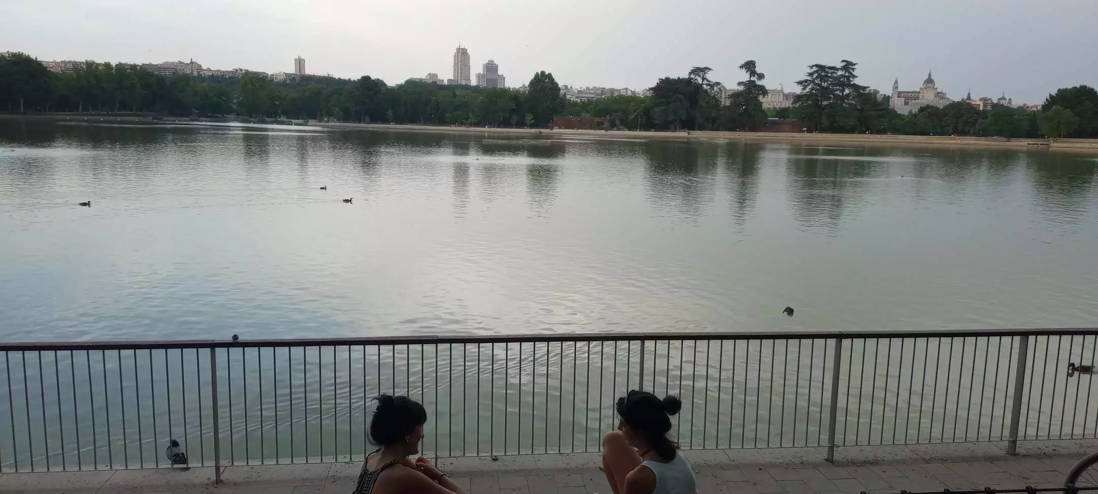 IMG_20240718_205714015.webp