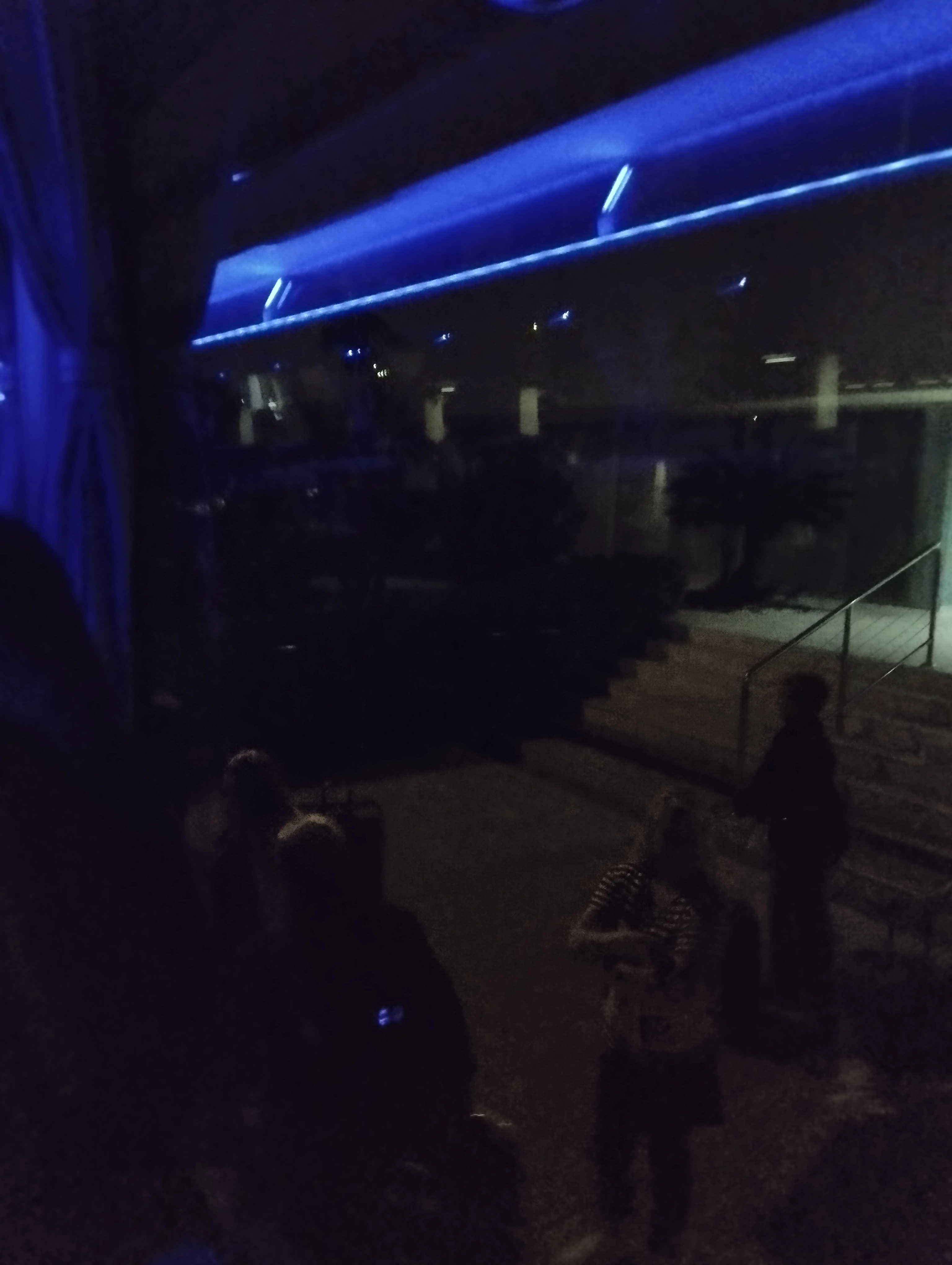 IMG_20240929_054253.webp