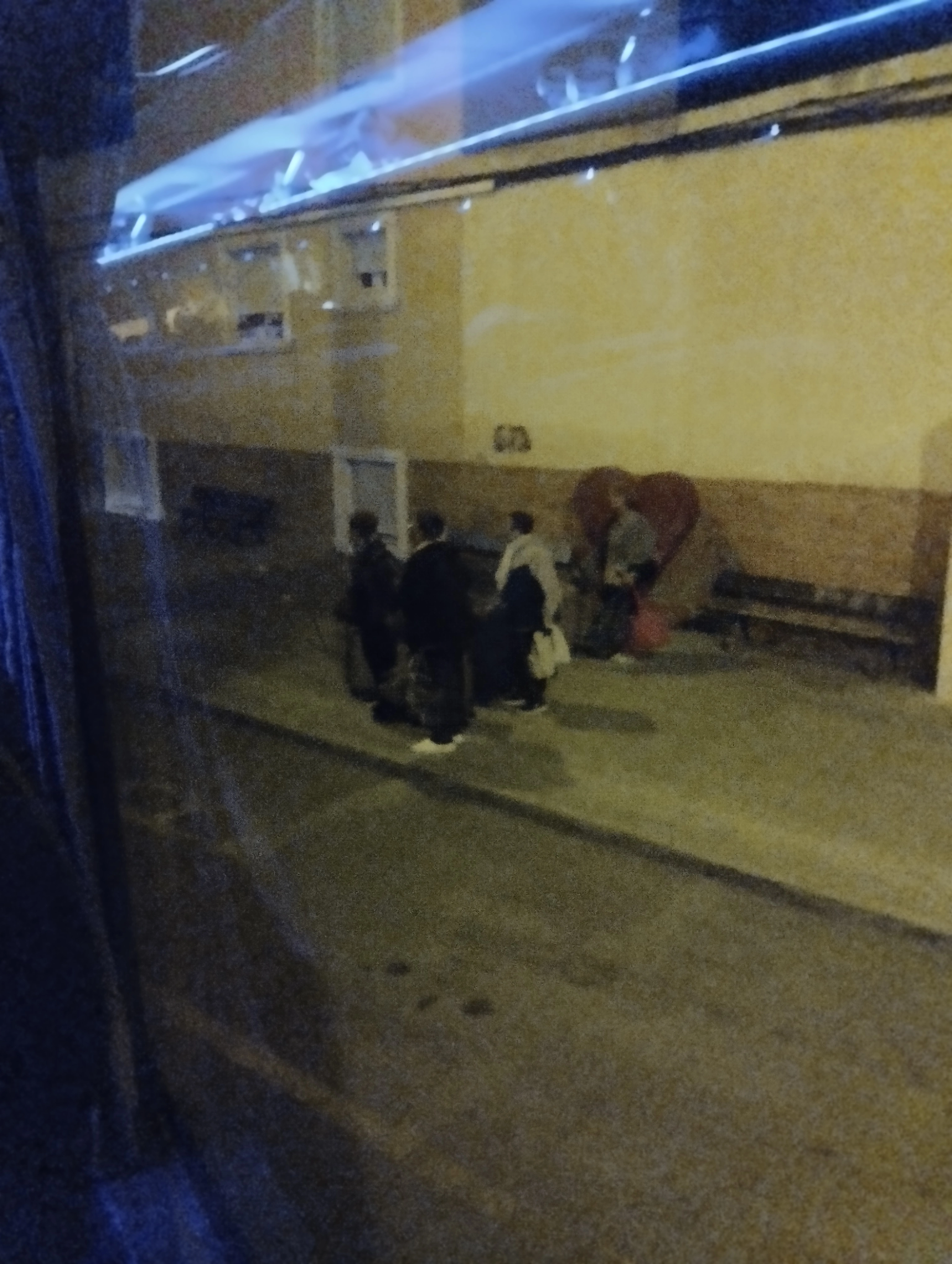 IMG_20240929_062933.webp