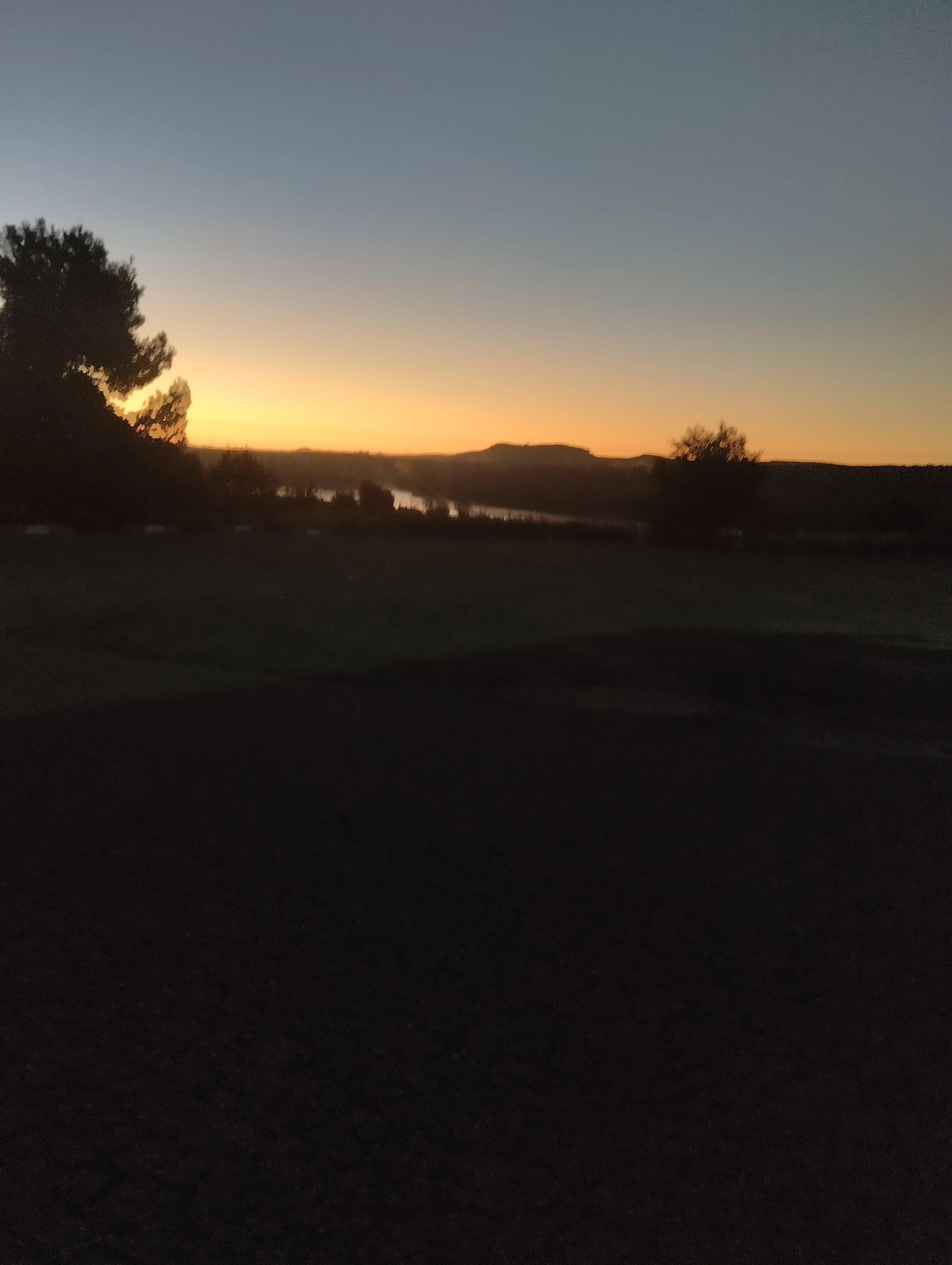 IMG_20240929_073117.webp