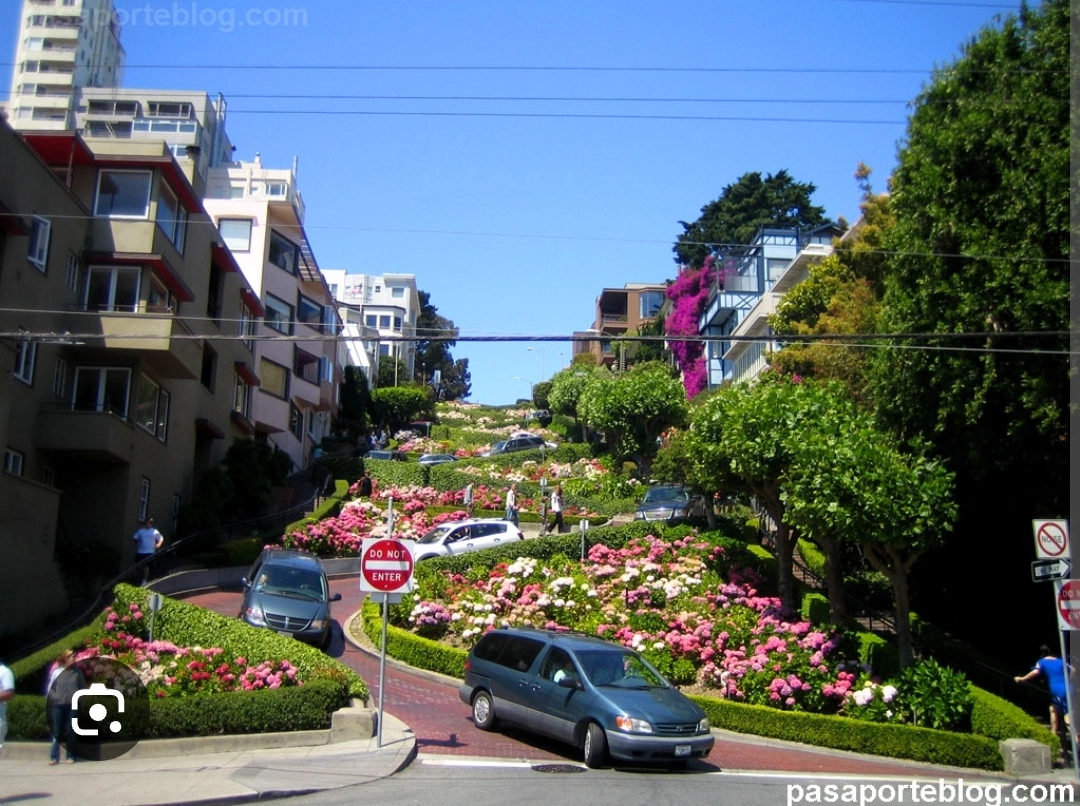 IMG_20241101_001154.webp