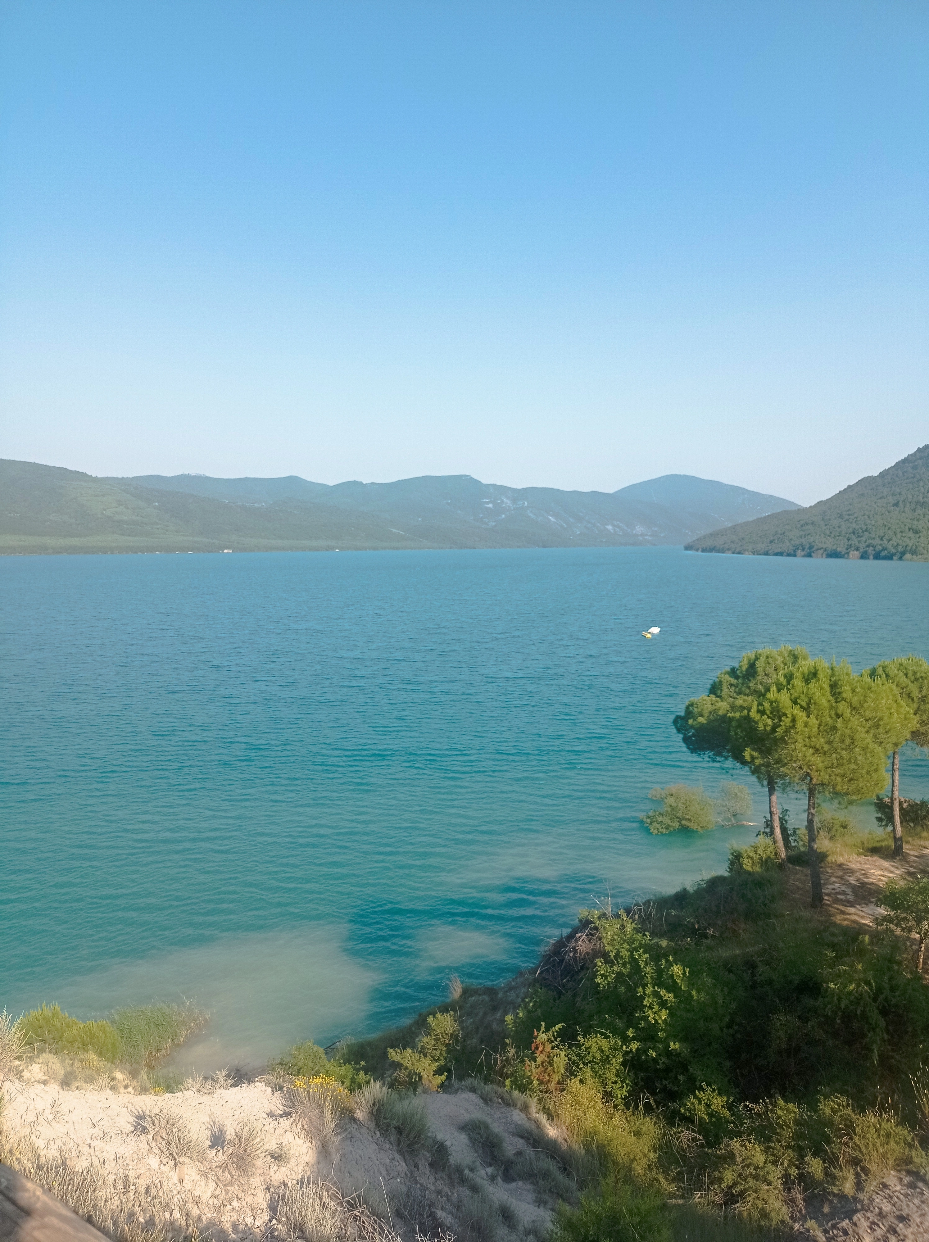 IMG_20250618_183631.webp