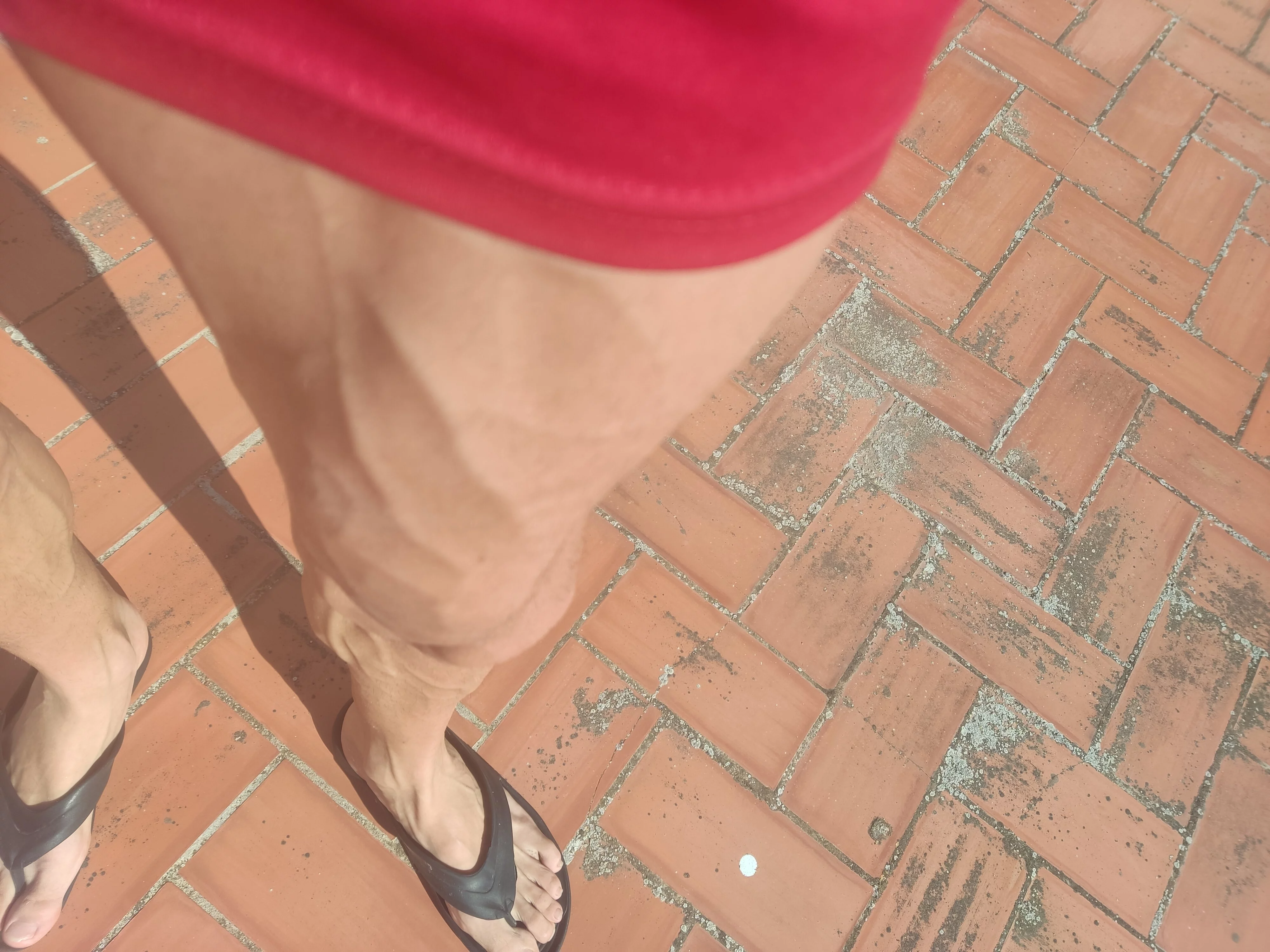 IMG_20251025_153955.webp