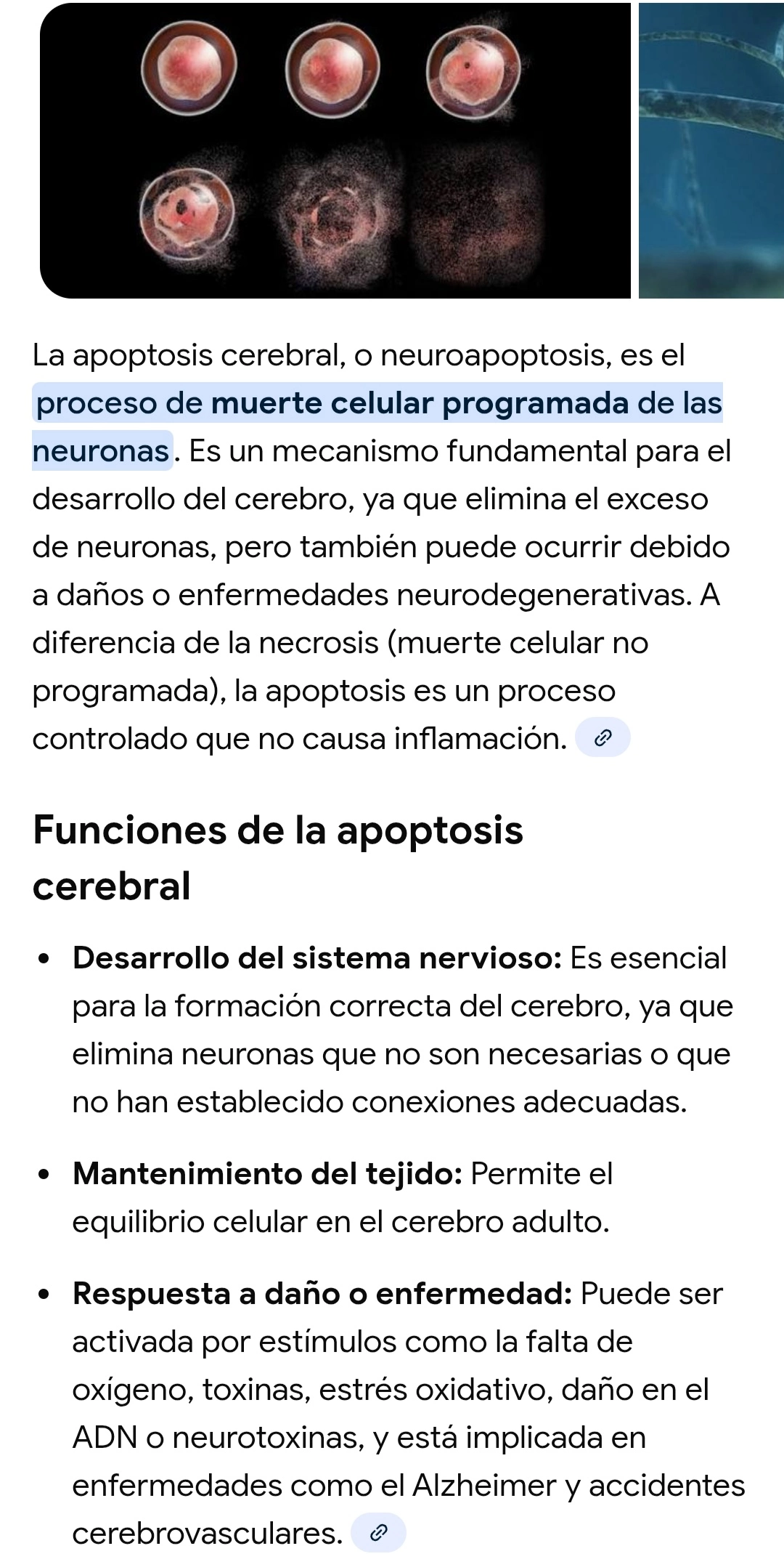 IMG_20251123_175733.webp