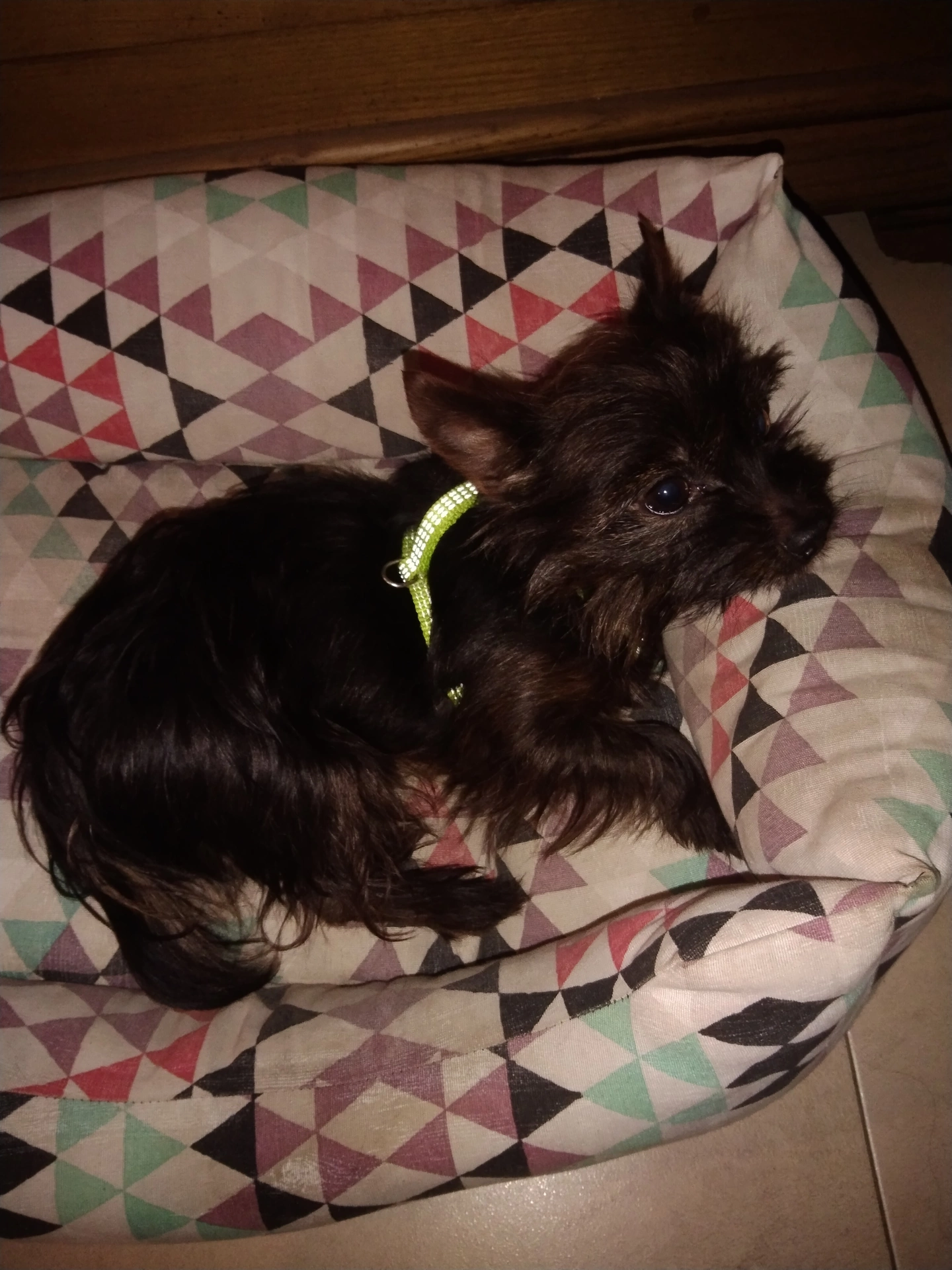 IMG_20251228_213423.webp