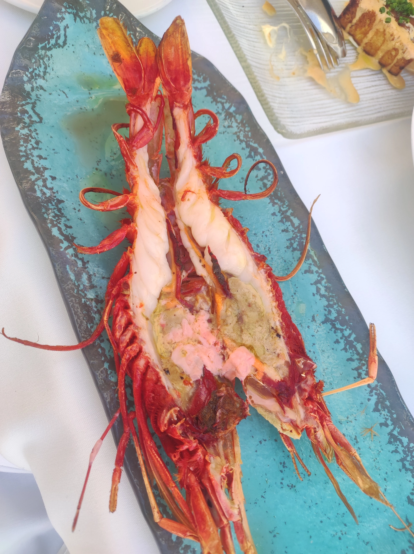 IMG_20260125_155817.webp