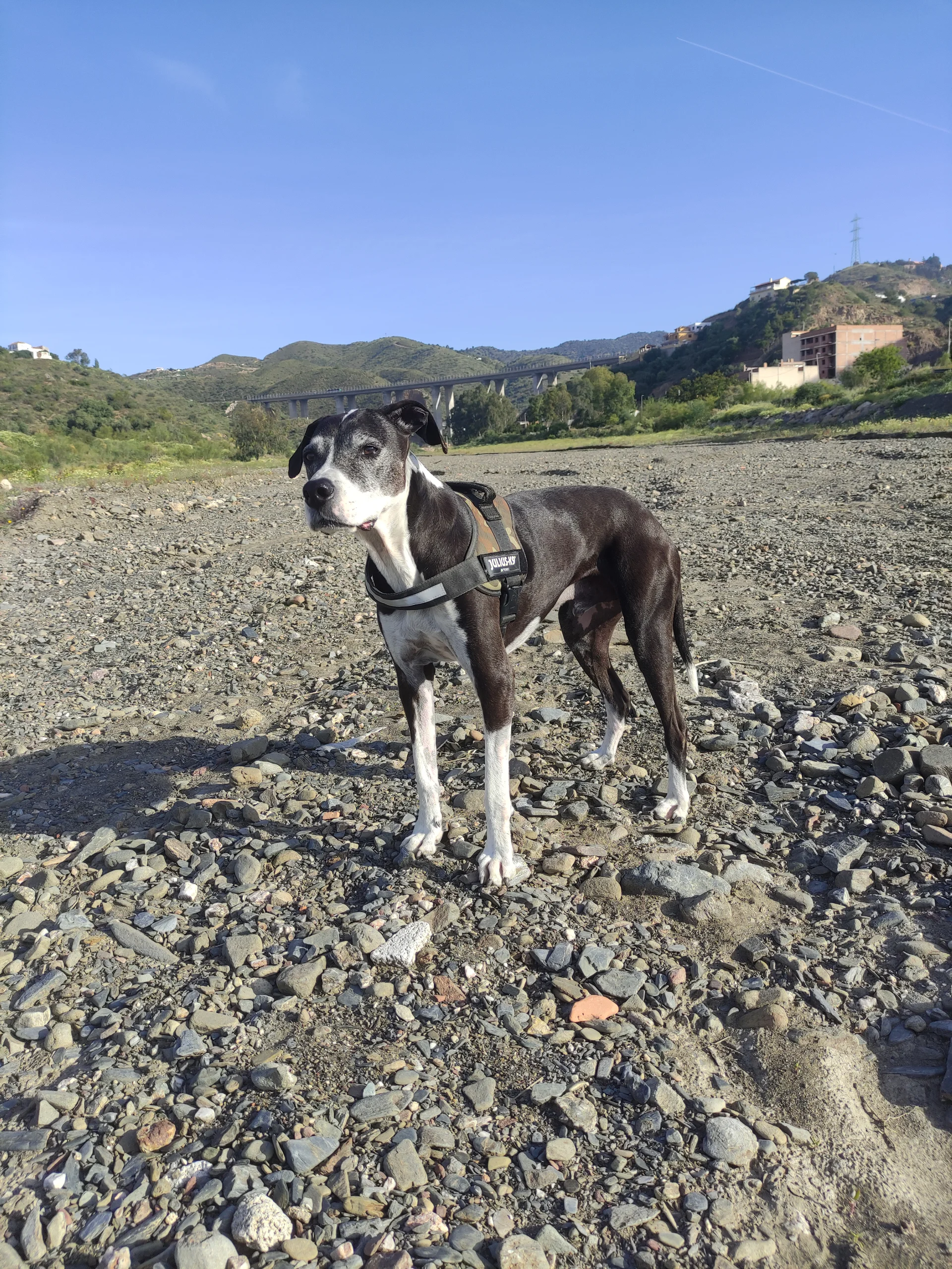 IMG_20260420_093314.webp