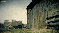 IMG_2104.gif